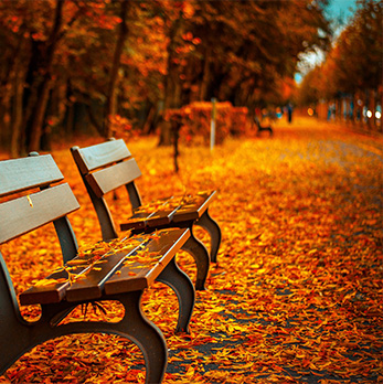 免费ddos平台攻击