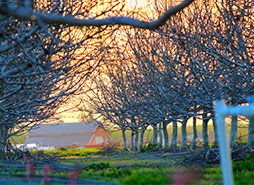 安卓ddos攻击工具